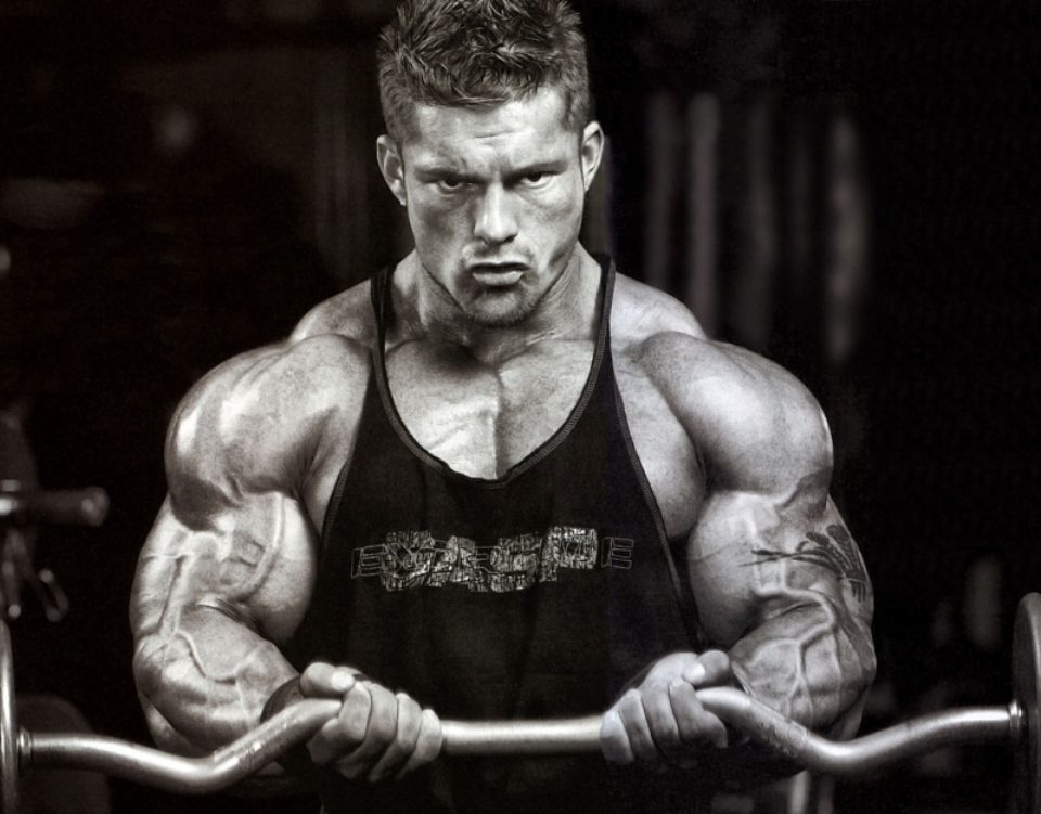 Flex Lewis - Curl