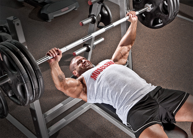 MassBuilders - BenchPress